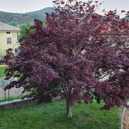 La Montagna Che Respira. *
